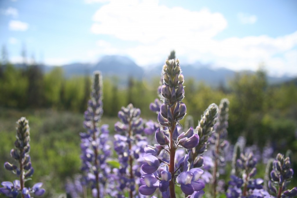 How to Find Magic in the Daily&nbsp;Grind