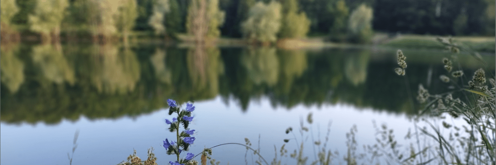 Three Magical Ways to Embrace&nbsp;Spring